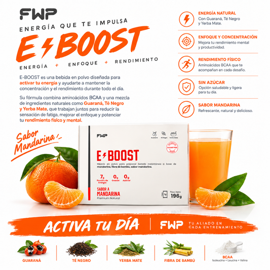 E-Boost