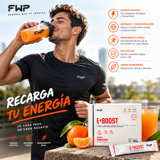 E-Boost